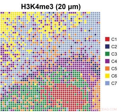Revolutionary Technique Maps Cell & Tissue Development with Spatial & Genomic Precision