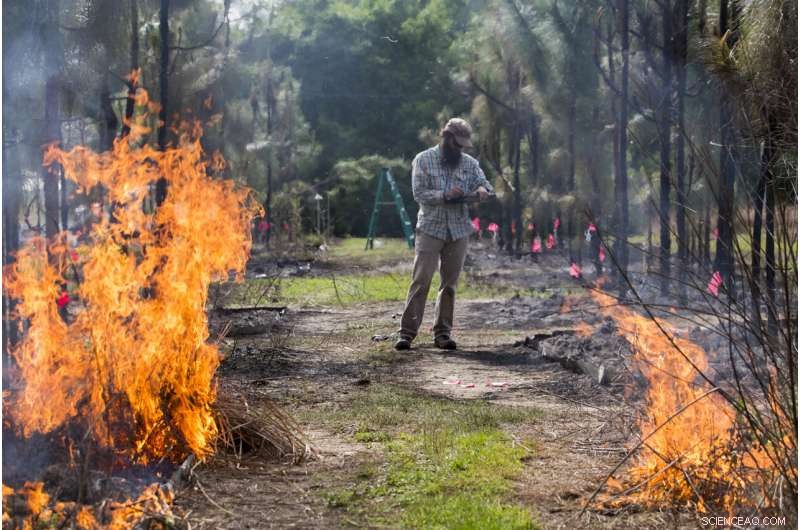 Climate Change Exacerbates Invasive Plant Impacts: New Research