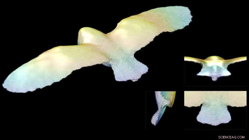 Owl Flight Dynamics: New Insights into Tail Usage Using Drag Modeling