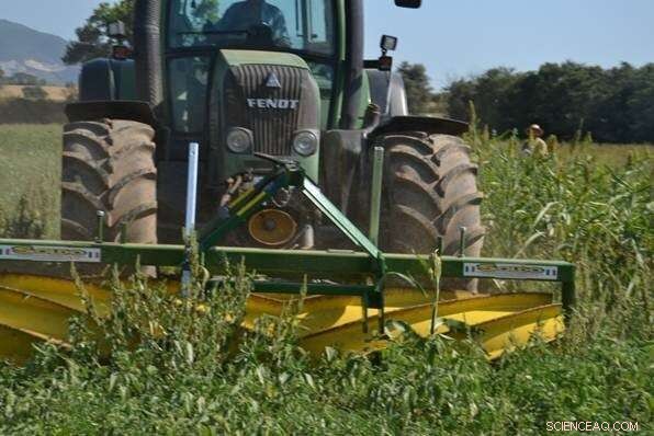 Roller Crimpers for Organic Horticulture: Boosting Crop Performance & Sustainability