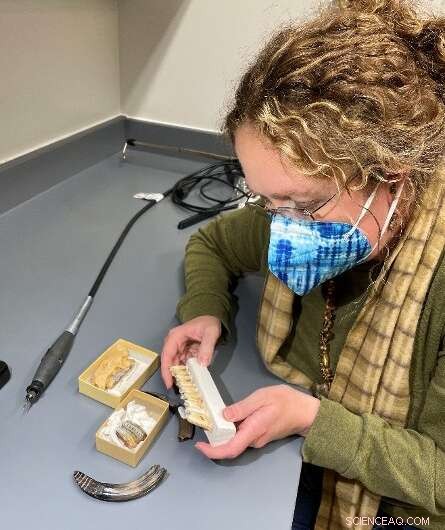 Generalist Species: Adaptability and Survival Strategies