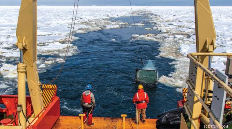 Antarctic Research: Warming Waters Linked to Declining Fish Populations