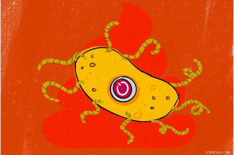 Genetic Kill Switches: A New Frontier in Medicine and Biotechnology