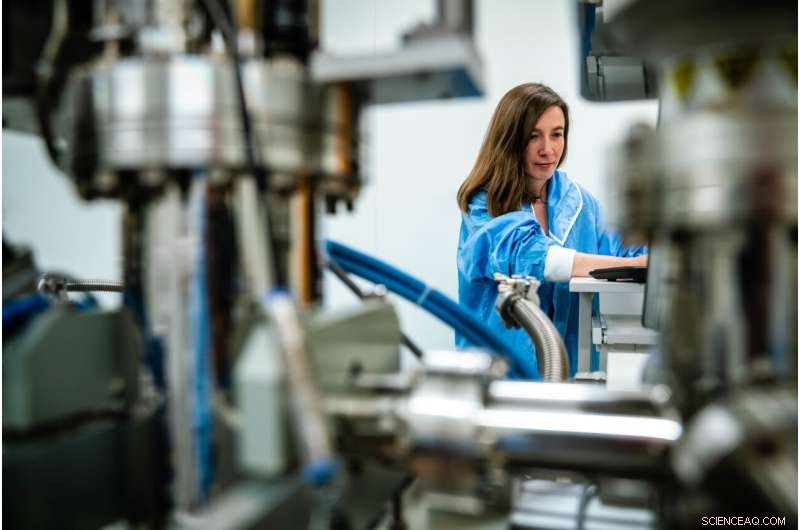 Pine Pollen Nanofoams: Key to Surviving Mass Extinctions - 3D Study