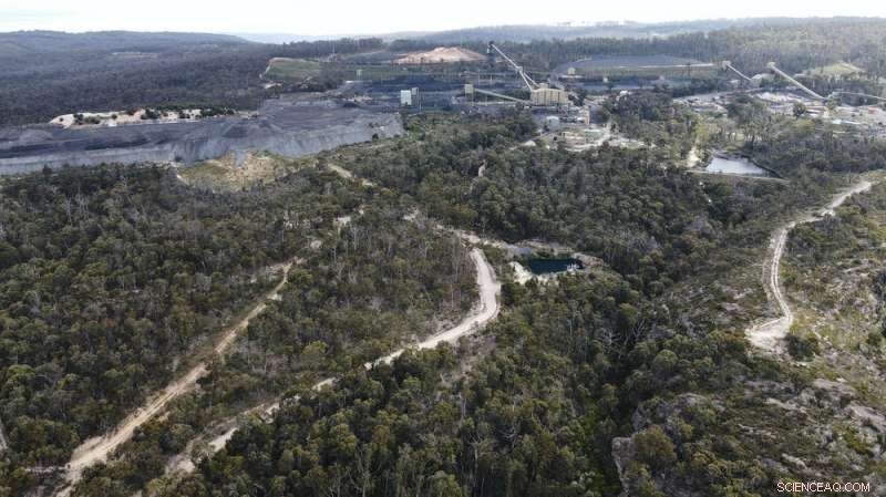 Blue Mountains River Recovery: A Remarkable Environmental Success Story