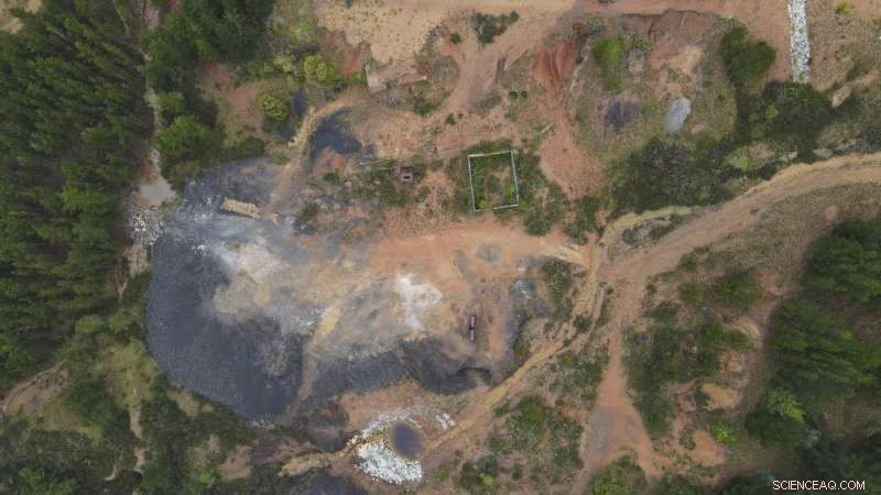 Blue Mountains River Recovery: A Remarkable Environmental Success Story