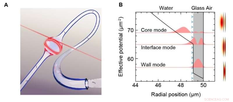 Optofluidic Microsensor with Whispering Gallery Modes for Single-Molecule Detection