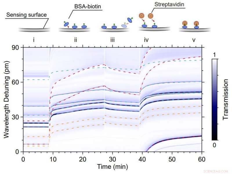 Optofluidic Microsensor with Whispering Gallery Modes for Single-Molecule Detection
