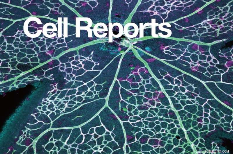 Novel Switch for Blood Vessel Growth Identified via VEGF Mapping