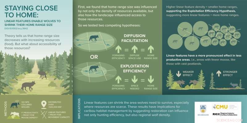 How Human Trails Impact Wolf Hunting & Caribou Populations
