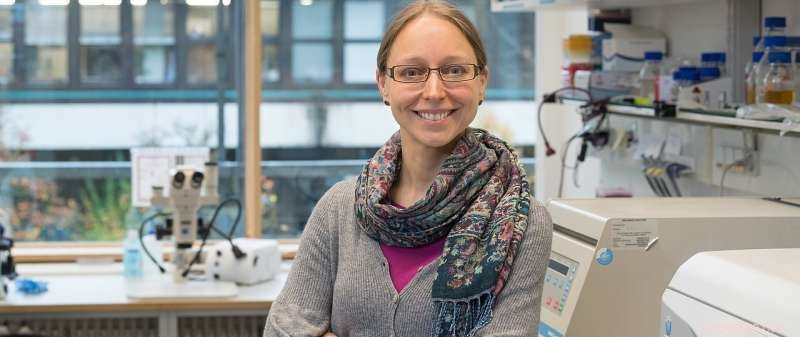 How Plant Nutrition Regulates Root Symbiosis: A Molecular Perspective