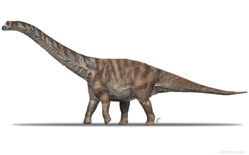 New Titanosaur Dinosaur Species Discovered in the Pyrenees