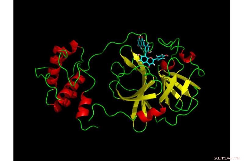 Virtual Screening Identifies Novel Compounds to Combat SARS-CoV-2 Main Protease