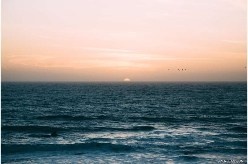 Pharmaceutical Contamination in Florida Bonefish: A New Study