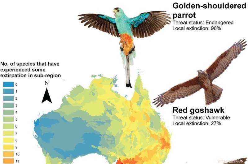 Australia s Lost Birds: A 250-Year Decline Since Colonization