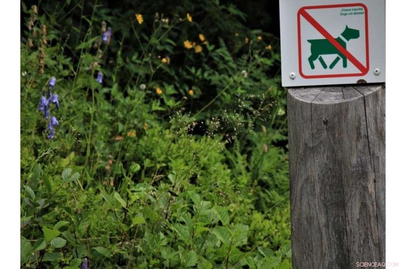 Dog Waste Impacts Nature Reserves: A New Ecological Study