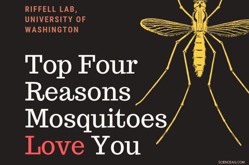 How Mosquito Vision Can Help You Avoid Bites | University of Washington