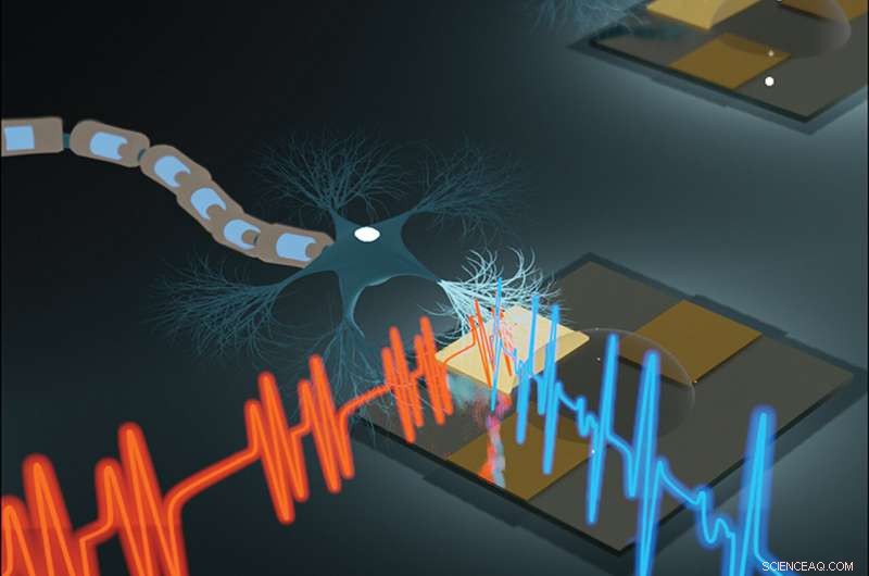 Organic Transistors for Advanced Wearable Health Sensors