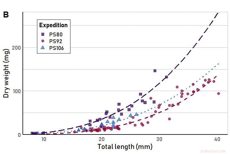 Arctic Marine Species: Size & Weight Data from Polarstern Expeditions
