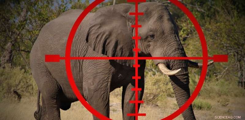 Understanding Trophy Hunting: Motivations & Ethical Concerns
