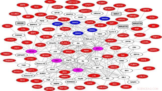 Understanding Height: Genetics and the Science of Growth
