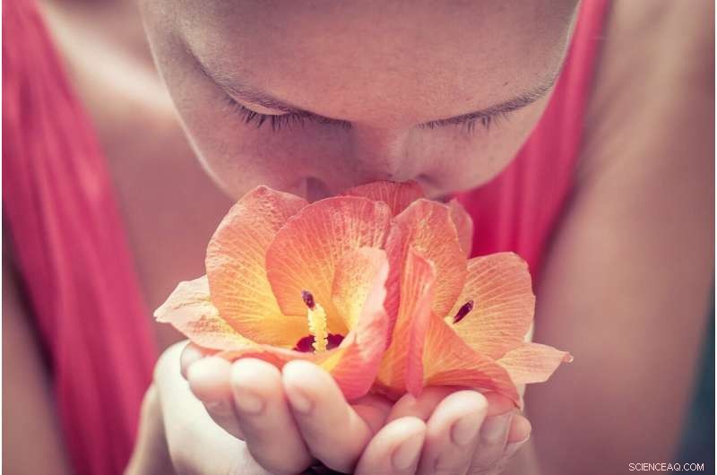 Human Sense of Smell Declining? New Research on Scent Receptor Genes