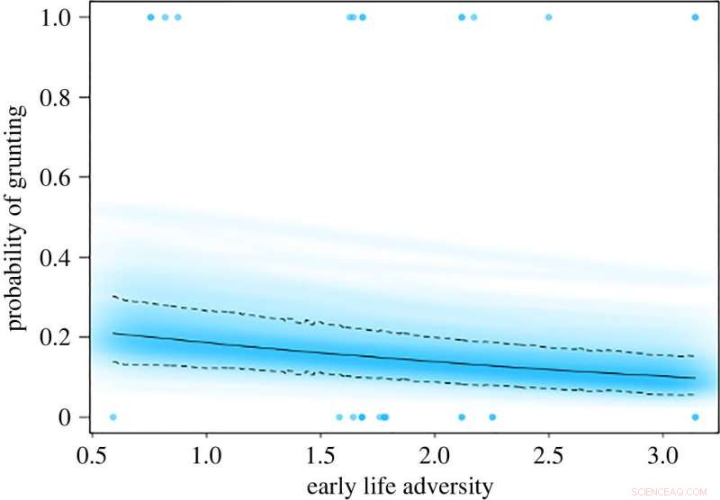Early Life Adversity and Social Behavior in Baboons: A Modeling Study