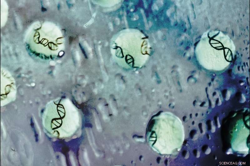 Transcription Factor DNA Binding: Mechanisms and Regulatory Regions