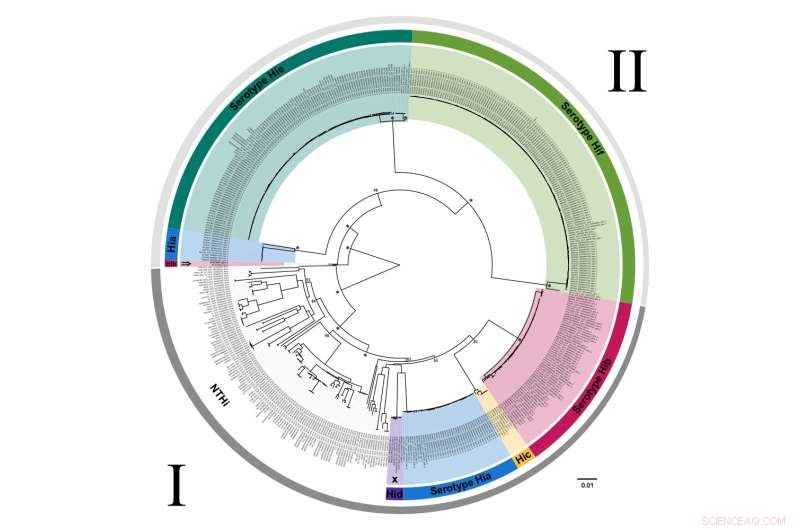 Understanding the History of Hib Disease and Vaccine Impact