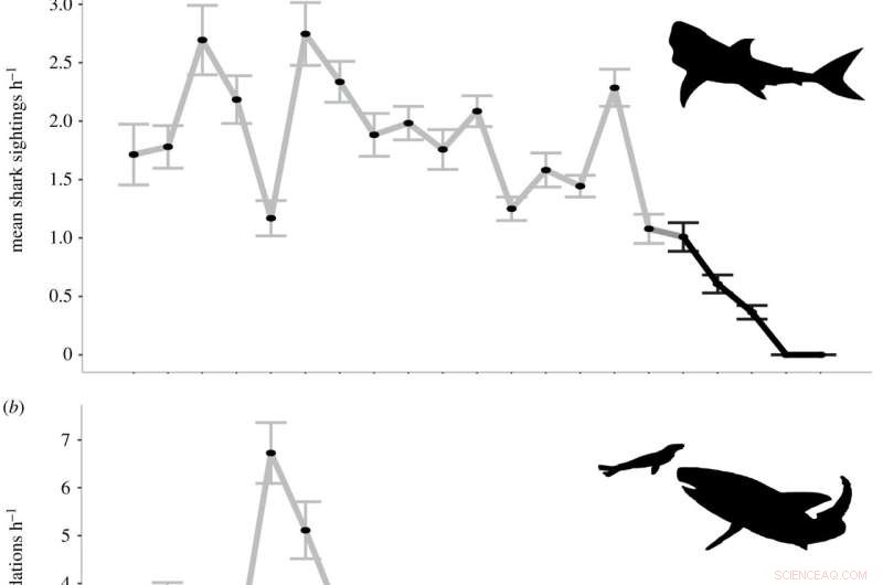Prey Behavior Shifts with Apex Predator Decline: A Case Study
