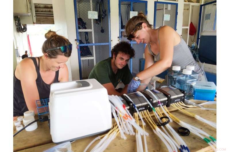 Decoding Coral Reefs: New Insights from Taste and Smell