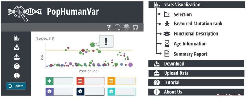 PopHumanVar: Uncovering Human Evolution Through Genetic Mutations