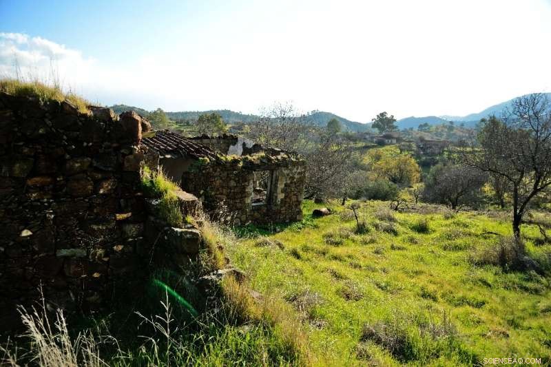 Cyprus Buffer Zone: Wildlife Recovery as a Symbol of Hope