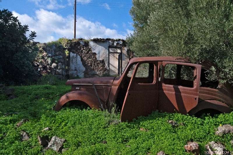 Cyprus Buffer Zone: Wildlife Recovery as a Symbol of Hope