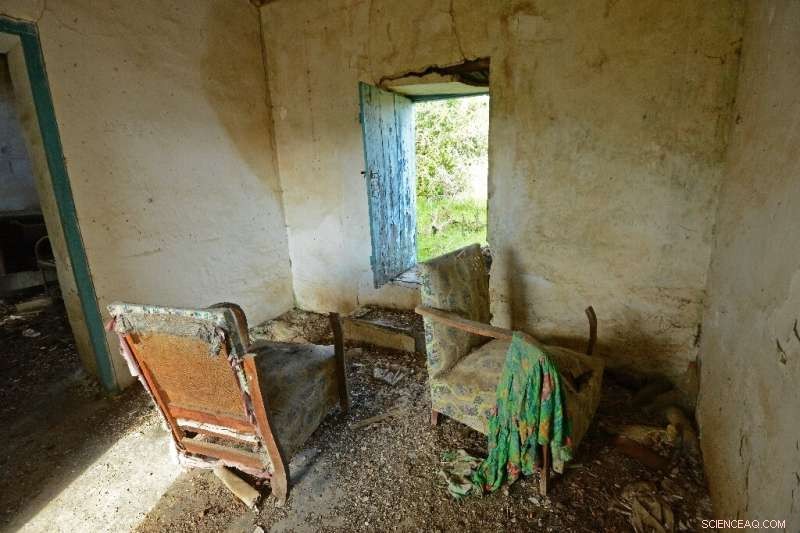 Cyprus Buffer Zone: Wildlife Recovery as a Symbol of Hope