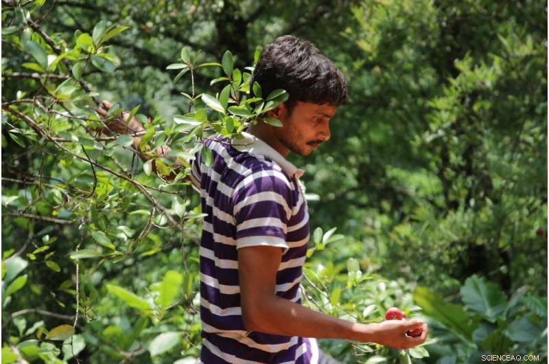 Saving Asia s Threatened Trees: The Power of Coordinated Conservation