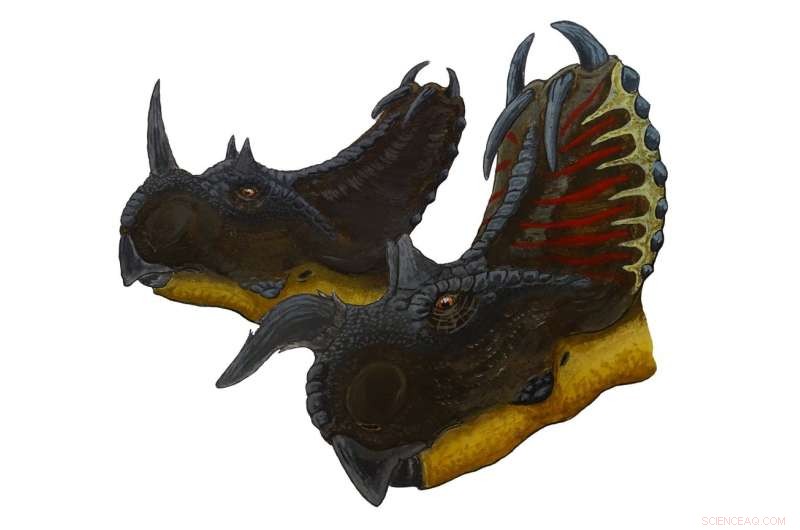 Uncovering Dinosaur Sex Differences: New Research Techniques