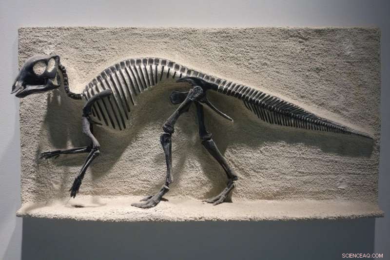 Uncovering Dinosaur Sex Differences: New Research Techniques