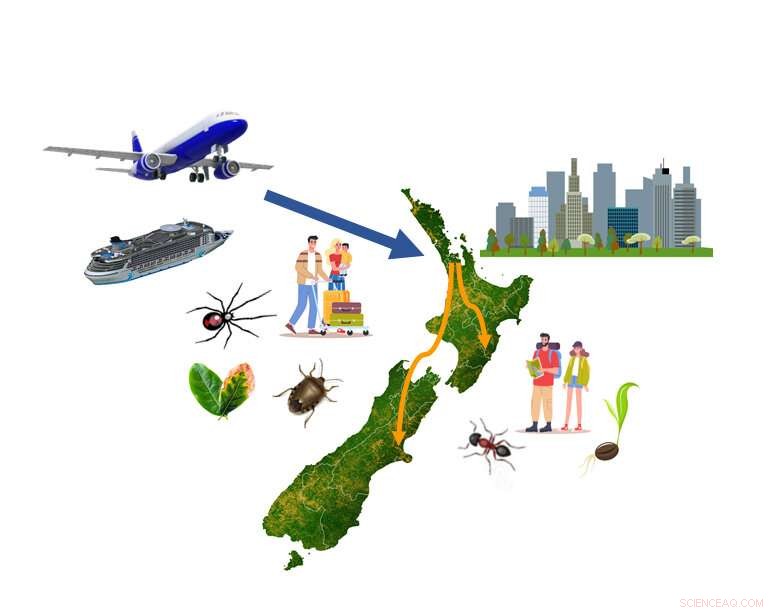 International Tourism & Invasive Species: Risks and Prevention