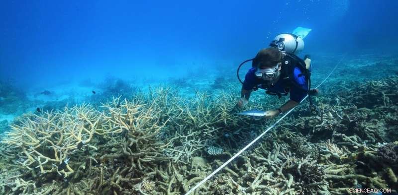 Great Barrier Reef: Is $1 Billion Enough to Save It?