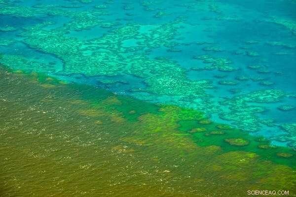 Great Barrier Reef: Is $1 Billion Enough to Save It?
