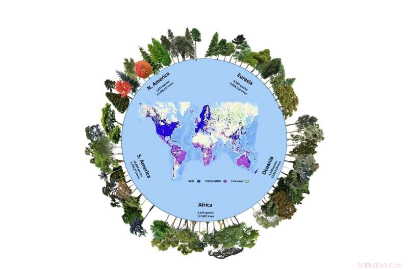 Hidden Biodiversity: Scientists Estimate 9,200 Undiscovered Tree Species