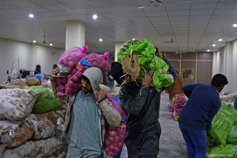 Digital Agriculture in Pakistan: Empowering Farmers with Technology