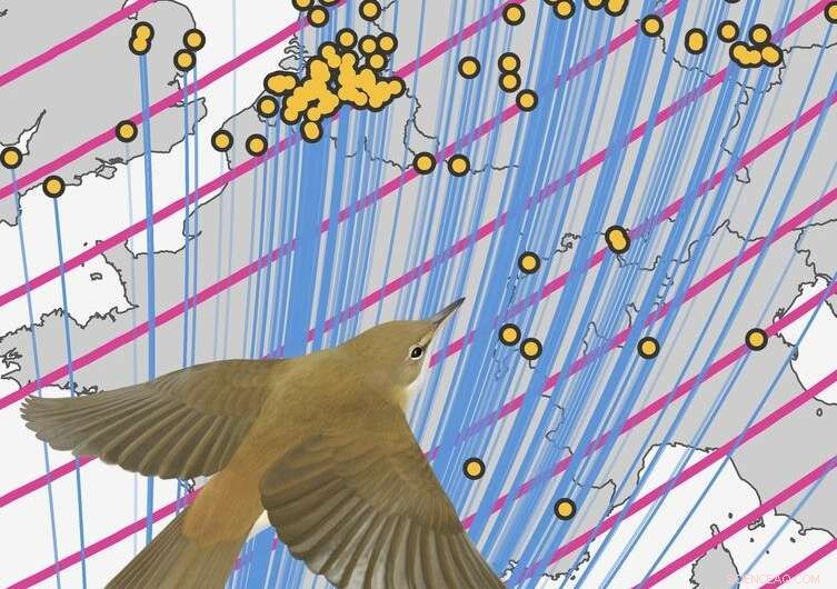 How Birds Use Earth s Magnetic Field for Navigation During Migration