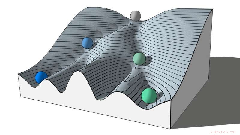 Stem Cell Reprogramming: Researchers Discover New Pathways to Cell Differentiation