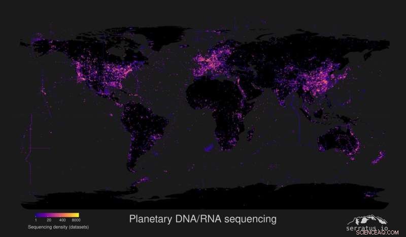 New Coronavirus Species Discovered: Global Sequencing Reveals Hidden RNA Viruses