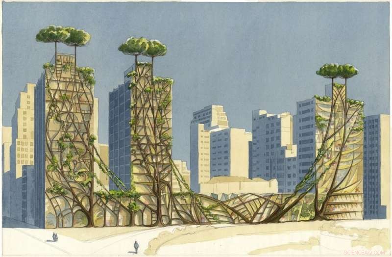 Biomimicry in Urban Planning: How Biology Shapes City Design