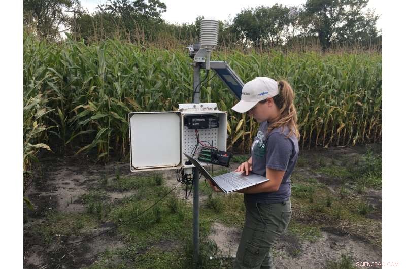 Combating Tar Spot: Collaborative Efforts to Protect Corn Production