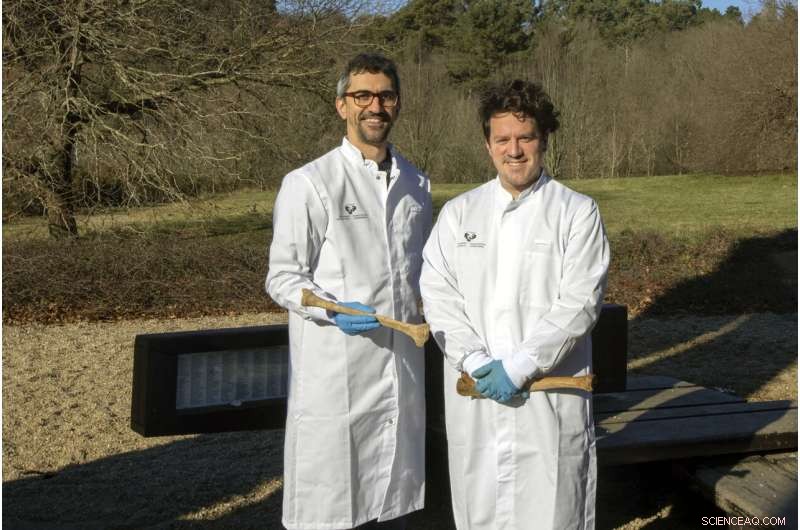 Accurate Dating of Skeletal Remains Using Non-Destructive Techniques | Forensic Science