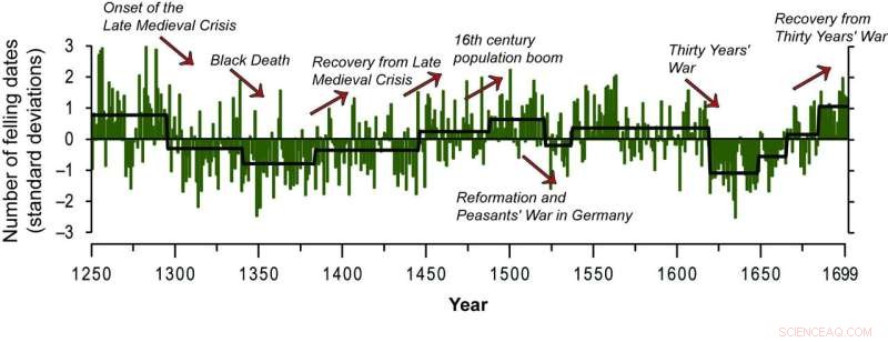 Europe s Economic History Revealed in Ancient Building Timber Data